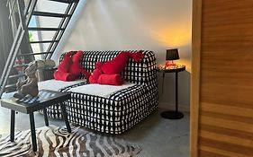 Wellness Loft With Sauna, Jacuzzi, Roof Terrace & Amazing View