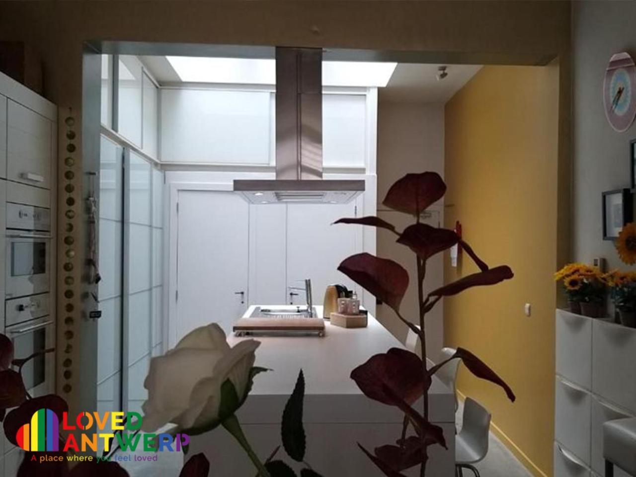 Wellness Loft With Sauna, Jacuzzi, Roof Terrace & Amazing View Appartement Antwerpen Buitenkant foto